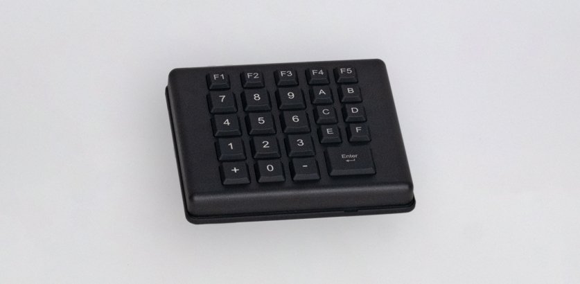 Backlit industrial keyboard DS24TW HL